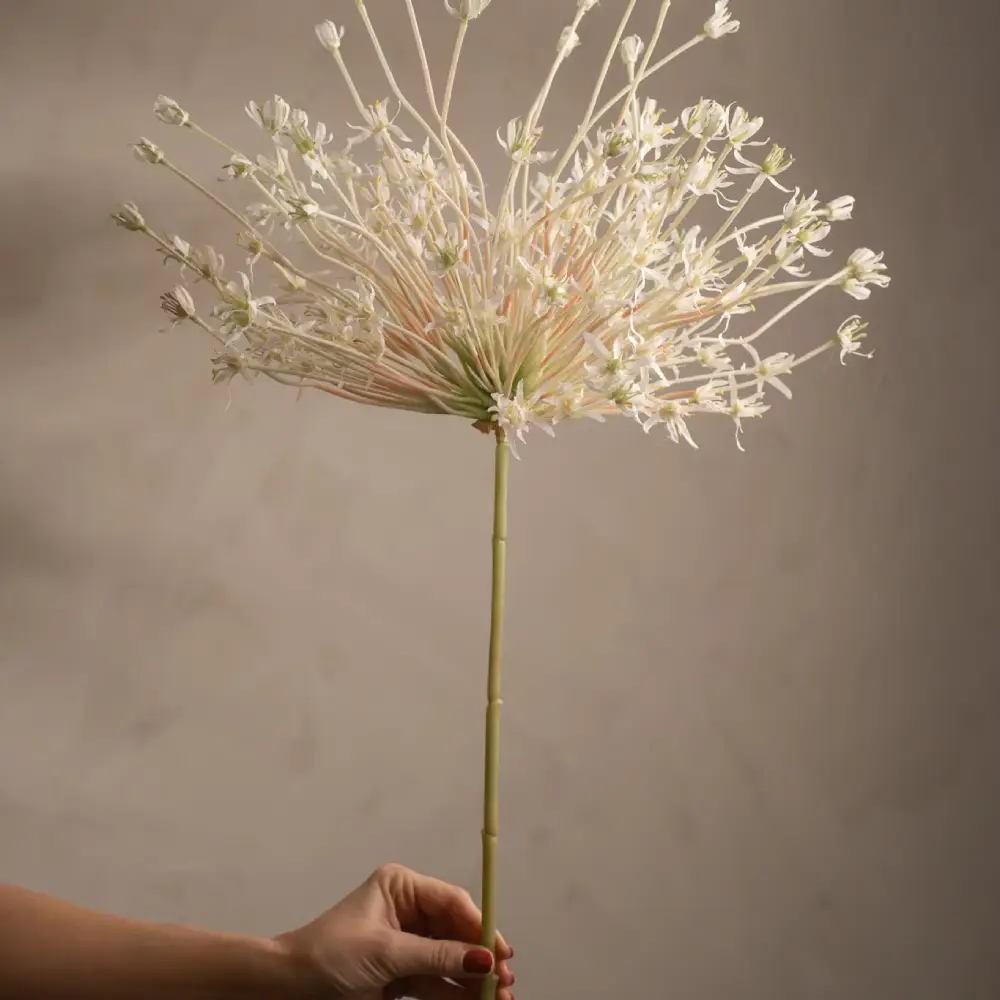 Allium Weiß 125 cm