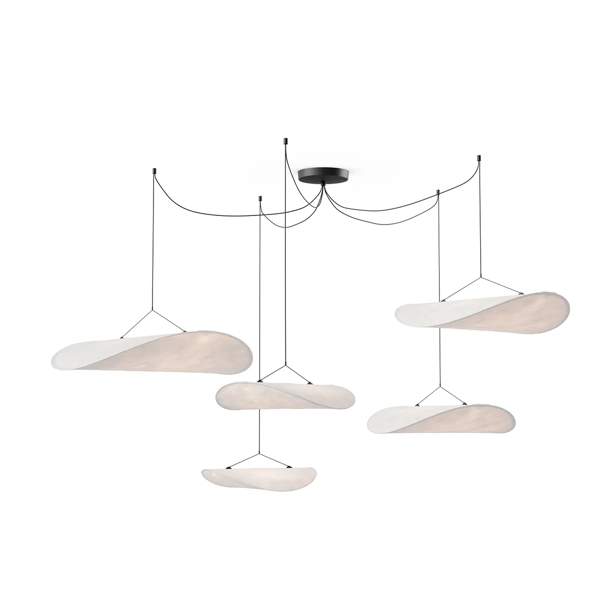 Baldachin Tense Multi (5 Stk)