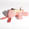 Co9 xs teddy frech rosa
