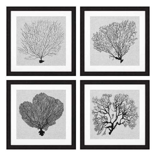 Bilder Shadow Sea Fans 4er-Set