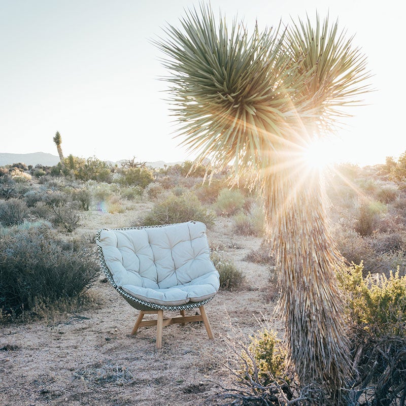 Mbrace Loungesessel hoch ARABICA 