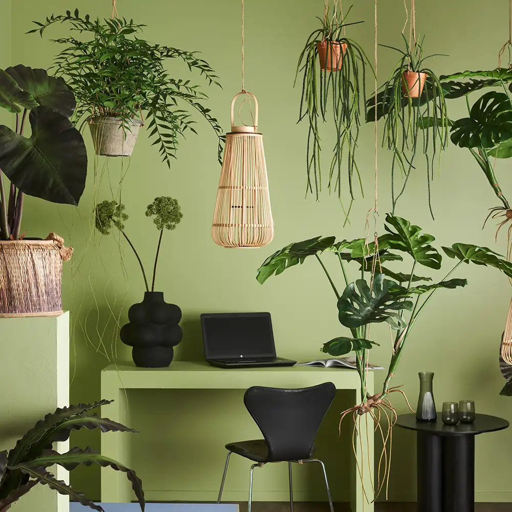 Monstera 110 cm Grün