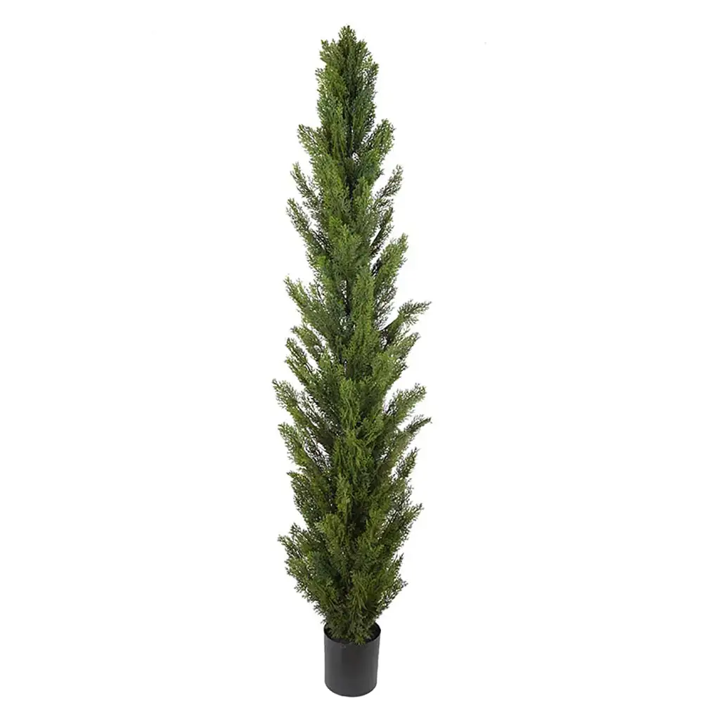 Zypressenbaum 120 cm