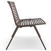 Zebra Sessel Maracuja