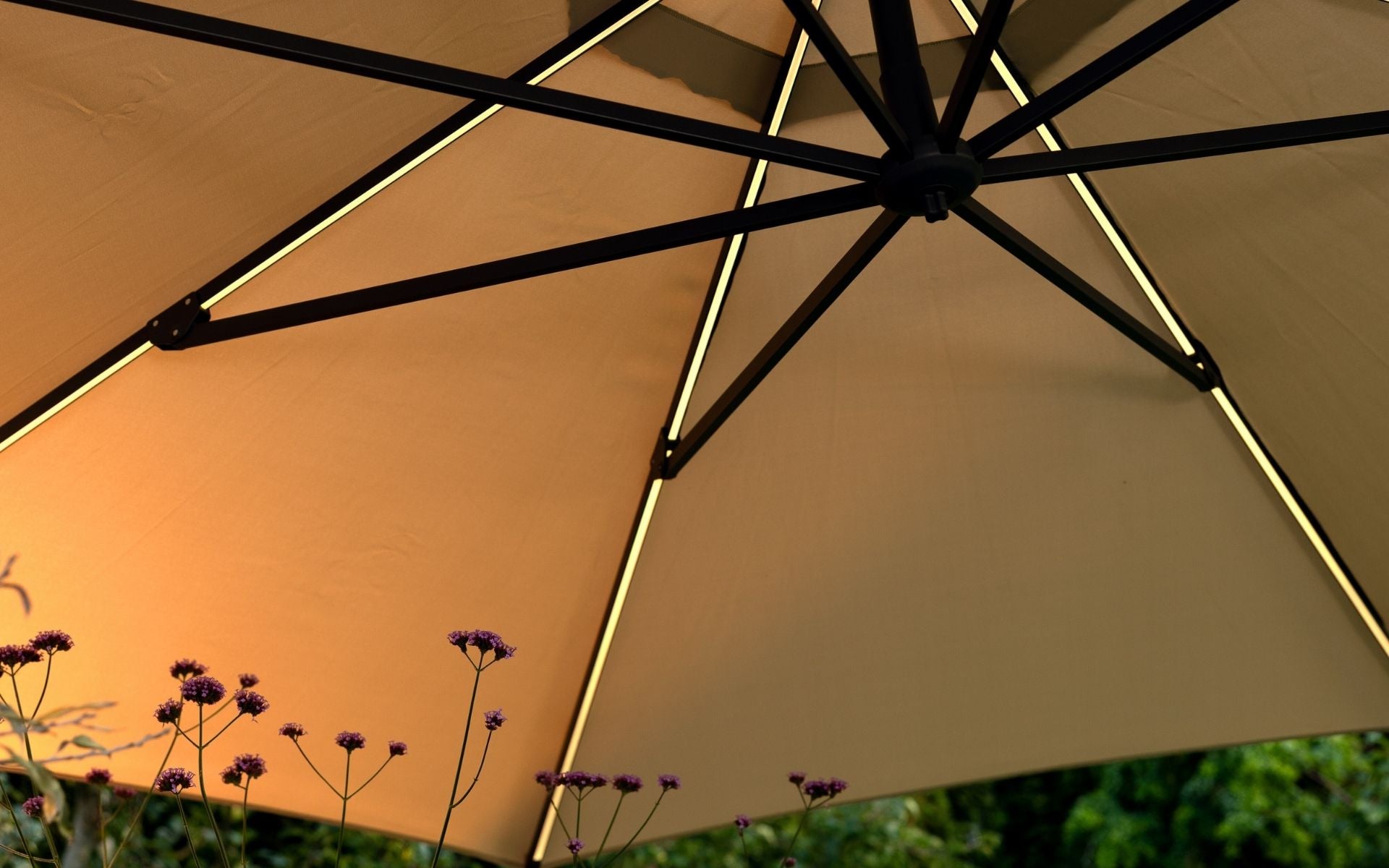 CILENTO parasoll.jpg