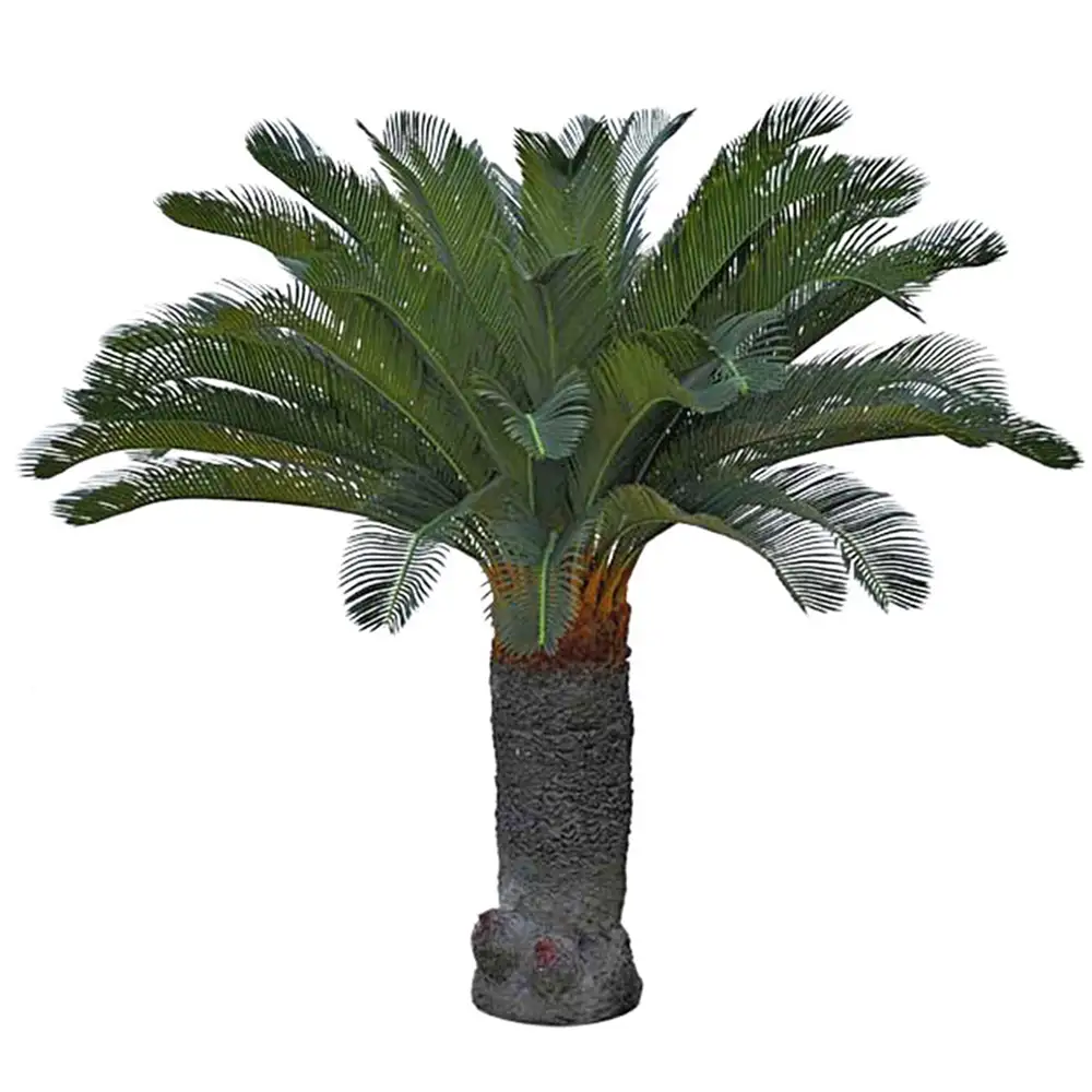 Cycas-Palme 100 cm