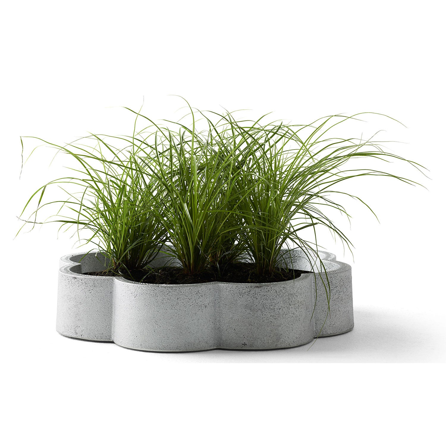 Robbenfass Natur Byarums Bruk