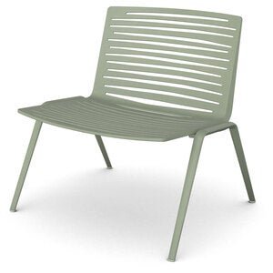 Zebra Sessel Grüner Tee