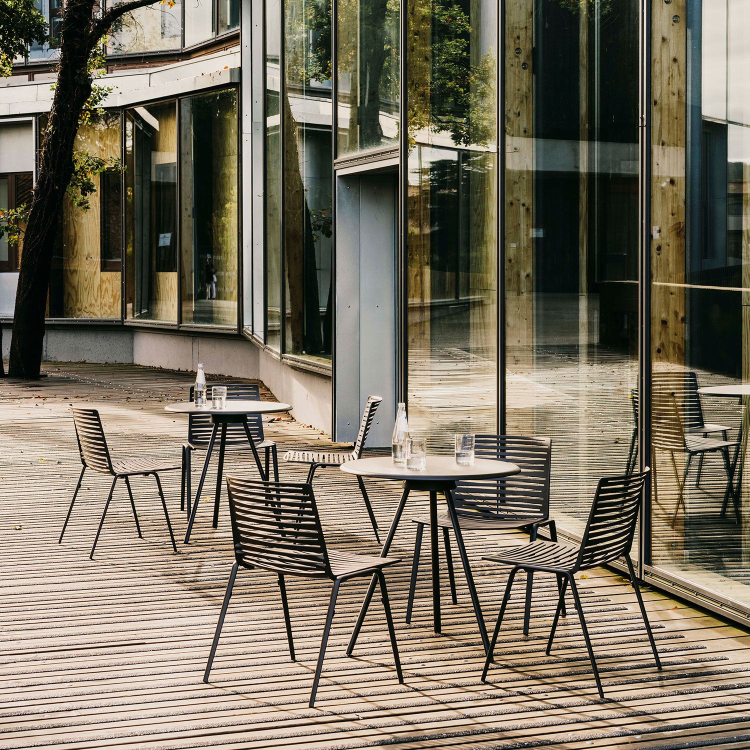 Zebra Esszimmerstuhl Weiß