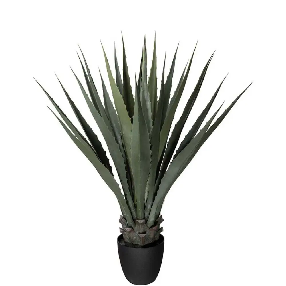 Agave Grün 100 cm