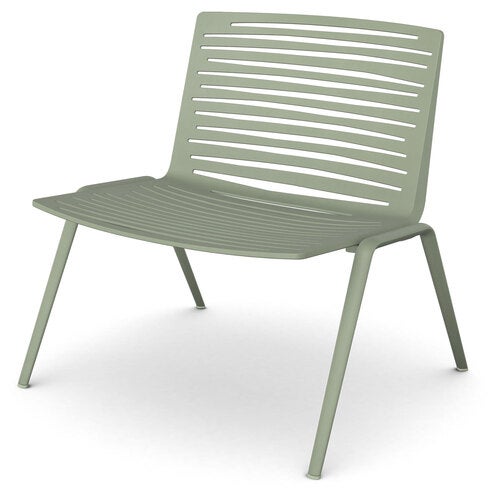 Zebra Sessel Grüner Tee